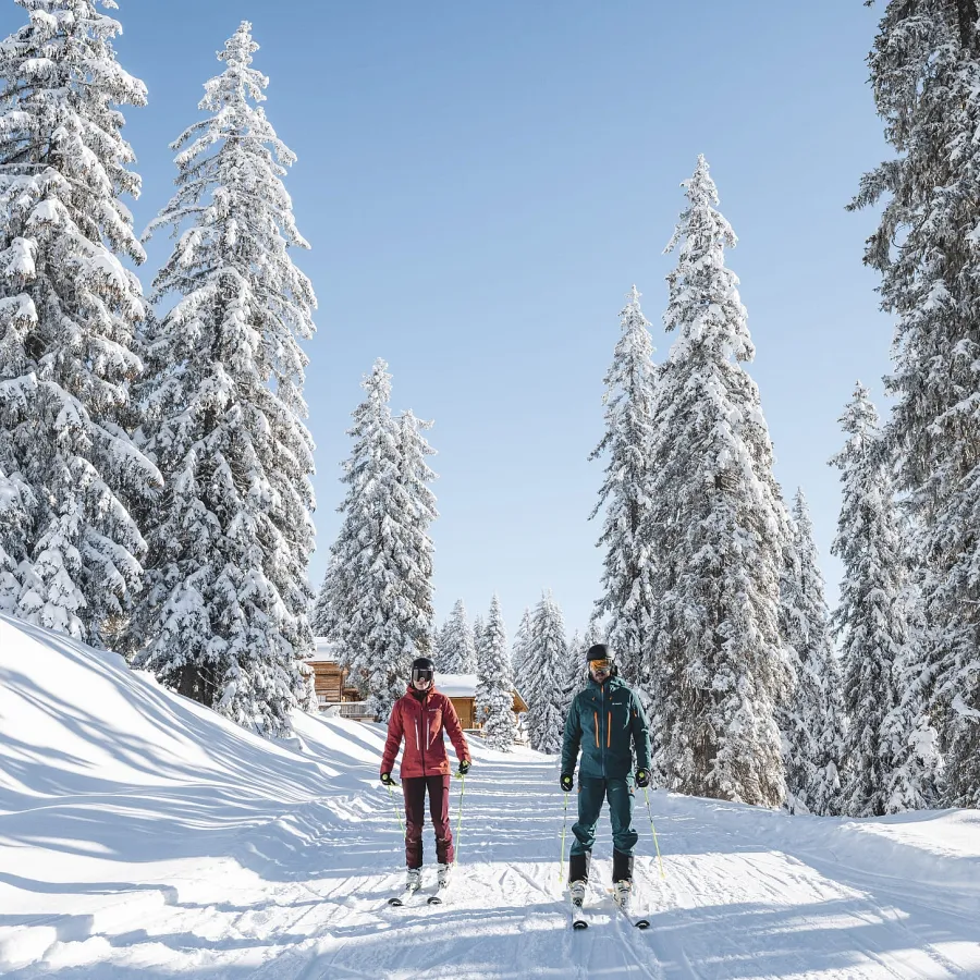 Skifahrer auf einer verschneiten Piste mit Tannenbäumen im Hintergrund