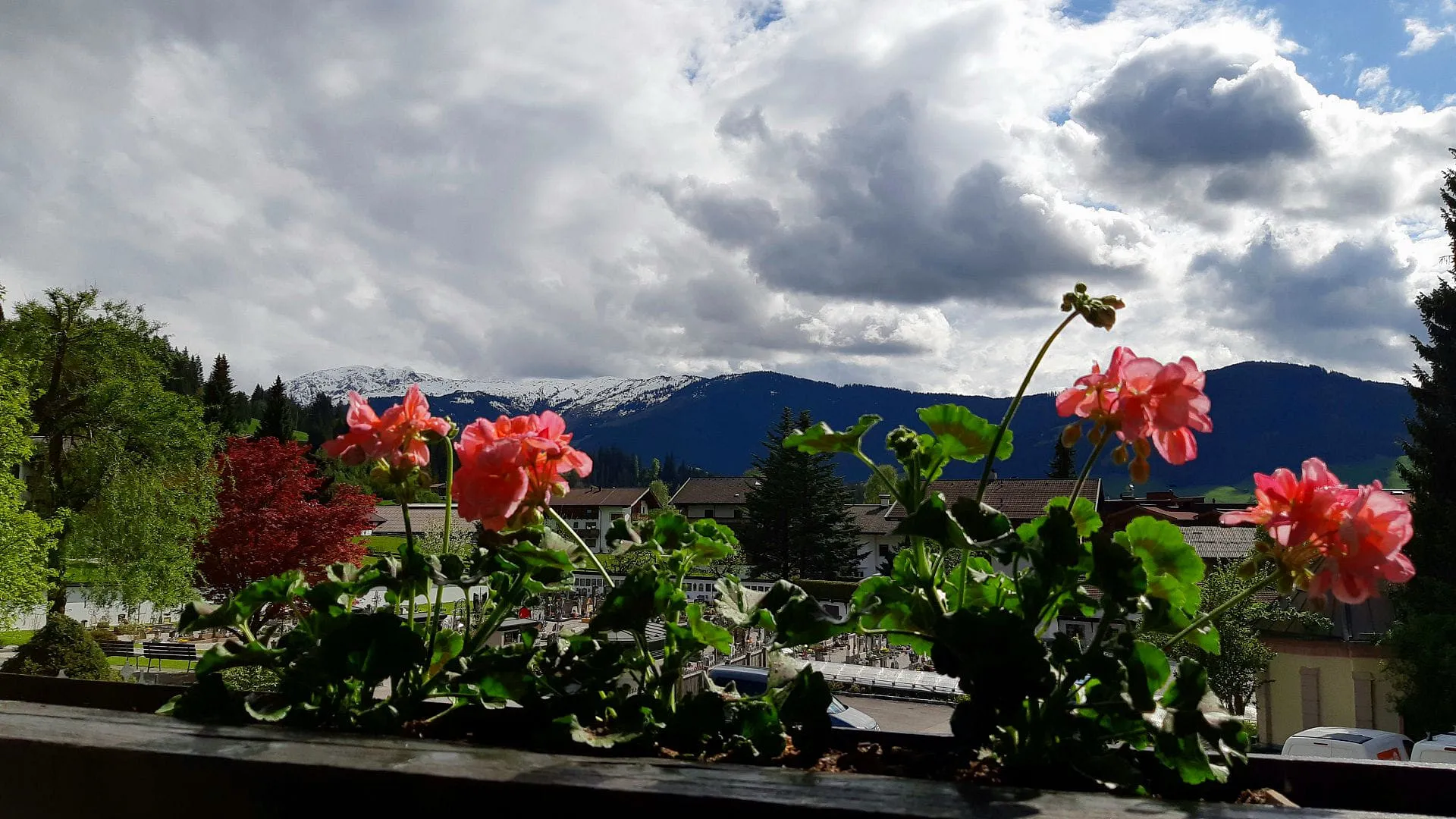 Blick auf eine Terrasse mit blühenden Blumen und Bergen im Hintergrund